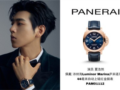 2.演员夏浩然佩戴沛纳海Luminor Marina庐米诺系列44毫米自动上链红金腕表(PAM01112)